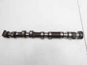 BMW 318Ci E46 00-03 2,0i 105KW N42B20O0Nockenwelle Einlass Einlassnockenwelle