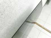 Toyota Auris E18 15-18 Kombi Seitenscheibe LHK für Tür Fenster Scheibe Links Hinten Orig. getönt