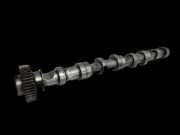 VW T5 7E 09-15 TDI 2,0 103KW CAAA Nockenwelle Einlass