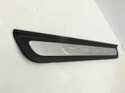 Hyundai Santa Fe IV TM 18-20 Einstiegsleiste Rechts Vorne