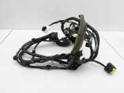 Renault Koleos I HY 11-13 Kabelbaum für Tür und Fensterheber Rechts Vorne