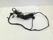 BMW F07 5er GT 535i 09-13 Kabelbaum f?r T?r und Fensterheber Links Hinten