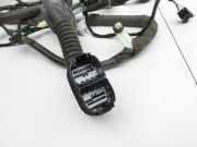 Ford Kuga II 16-19 Kabelbaum Türkabelbaum für Tür Links Vorne