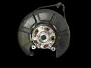 Hyundai Santa Fe IV TM 18-20 T-GDI 2,0 173KW 4WD Achsschenkel Radnabe Rechts Hinten