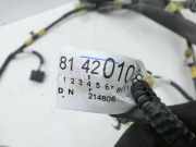 Toyota RAV4 IV 13-16 Kabelbaum für Heckklappe