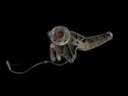 Mini Clubman R55 One 07-14 1,4 70KW Achsschenkel Radnabe Rechts Hinten