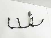 Jaguar XF X250 11-15 Lim Kabelbaum für Motor Zündung