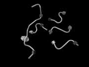 Ford Mondeo V BA7 CF 14-19 TDCi 2,0 132KW Hochdruck Leitung Kraftstoffleitung