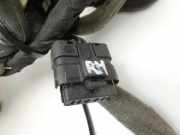 Renault Scenic III JZ 09-12 Kabelbaum Leitungssatz für Tür und Fensterheber Hinten Rechts