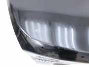 Suzuki Kizashi 09-16 Heckklappe Kofferraumdeckel