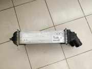 Peugeot 2008 I 16-19 THP 110 1,2 81KW Ladeluftkühler Kühler