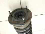 Mercedes W251 R300 Lang Stossdämpfer Federbein Vorne Rechts