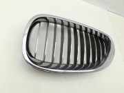 BMW E61 LCI 530d 07-10 Frontgrill Kühlergrill Niere Grill Links