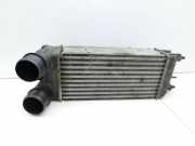 Citroen C5 III RD TD 08-12 1,6 115KW Ladeluftkühler Kühler