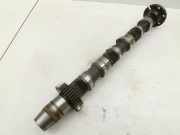 VW Phaeton 3D GP1 07-10 TDI 3,0 171KW CARA Nockenwelle Einlass Links 4-6