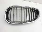 BMW E61 530xi LCI 07-09 Frontgrill Kühlergrill Grill Niere Links