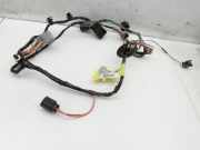 Chrysler Grand Voyager V RT 08-11 Kabelbaum Leitungssatz f?r T?r und Fensterheber Hinten Rechts