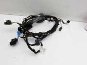 BMW 218i F45 14-18 Kabelbaum Tür Links Vorne