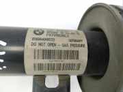 BMW F07 5er GT 535i 09-13 Stossdämpfer Federbein Vorne Links