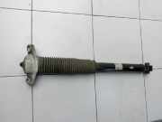 Hyundai Tucson IV NX4 20-24 Stossdämpfer Links Hinten