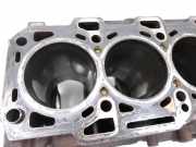 Fiat Doblo II 263 10-15 1,6D 66KW 263A4000 Motorblock für Motor