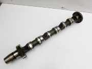 Audi Q7 4L 05-09 TDI 3,0 171KW BUG Nockenwelle Einlass Links 4-6