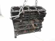 Seat Exeo ST 09-13 TDI 2,0 105KW CAGA Motorblock für Motor