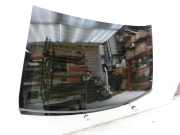 Mercedes E250 W212 13-16 Lim Heckscheibe Rückwand Autoglas
