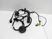 Audi A5 8T Sportback 11-16 Kabelbaum Innen für Türverkleidung Links Vorne