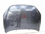 Toyota RAV4 III CA30W 06-13 Motorhaube Frontklappe Haube