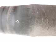 Mercedes W164 ML420 05-09 Feder Federbalg Luftbalg Hinten Links