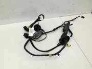 Audi A1 8X 10-14 3T Kabelbaum für Tür und Fensterheber Rechts Vorne