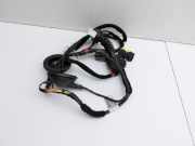 BMW F30 3er 316i 12-15 Lim Kabelbaum für Tür und Fensterheber Links Hinten