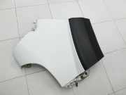 Boxer Ducato 250 06-14 Kotflügel Links Vorne