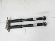 Hyundai Kona OS 17-20 Stossdämpfer Links und Rechts Hinten