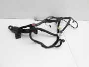 Hyundai IX35 LM 09-13 Kabelbaum T?r und Fensterheber Links Vorne