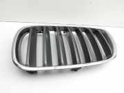 BMW X3 E83 06-10 Frontgrill Kühlergrill Grill Niere Links