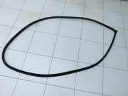 Kia Optima IV JF 15-18 Lim Dichtung für Tür Links Vorne