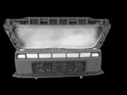 Fiat Ducato Boxer 250 14-23 Frontblende Mittelteil für Stoßstange Vorne