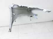 Tesla Model Y LR 20-25 5YJY Kotflügel Links Vorne