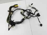 Renault Scenic IV J9 16-20 Kabelbaum Leitungssatz für Tür und Fensterheber Hinten Links