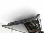 Audi A6 4F C6 05-08 Lim Tür Fahrertür Links Vorne