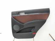 Hyundai IX55 09-11 Türverkleidung Türpappe Rechts Hinten Pure Leder Braun