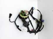 Citroen C3 II SC 09-13 5T Kabelbaum Tür und Fensterheber Links Vorne