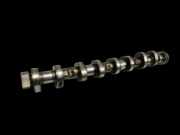 BMW E81 1er LCI 120i 2,0 125KW N43B20A Nockenwelle Einlass