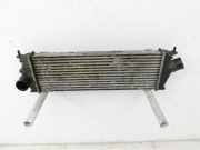 Renault Trafic II Vivaro A 06-14 DCI 2,0 84KW Ladeluftkühler Kühler