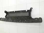 Chrysler Voyager V RT 08-11 Träger Pralldämpfer mit Lufteinlassgitter für Stoßstange Vorne