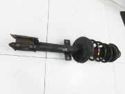 Dacia Duster II HM 18-21 Federbein Stossdämpfer Hinten Rechts