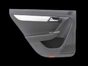VW Passat 3C B7 10-15 Kombi Türverkleidung Türpappe Links Hinten