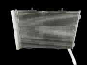 Citroen C4 Cactus 14-18 Kondensator Klimakühler AC